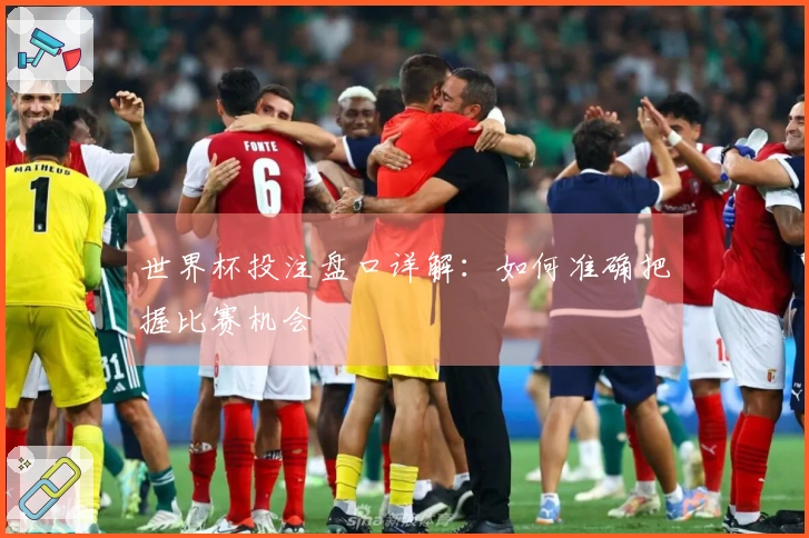 世界杯投注盘口详解：如何准确把握比赛机会