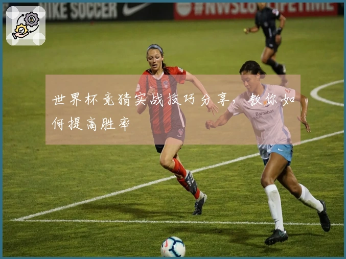世界杯竞猜实战技巧分享，教你如何提高胜率