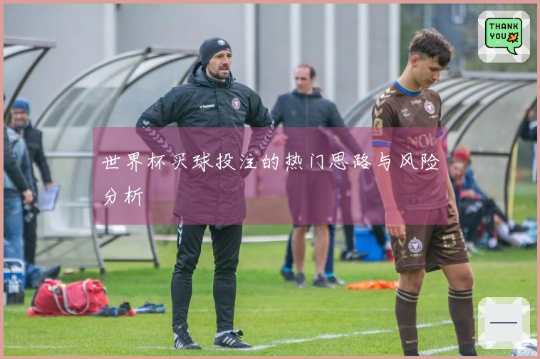世界杯买球投注的热门思路与风险分析