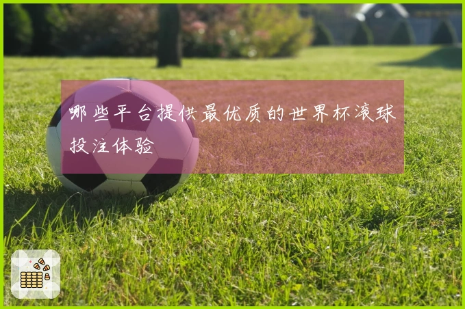 哪些平台提供最优质的世界杯滚球投注体验